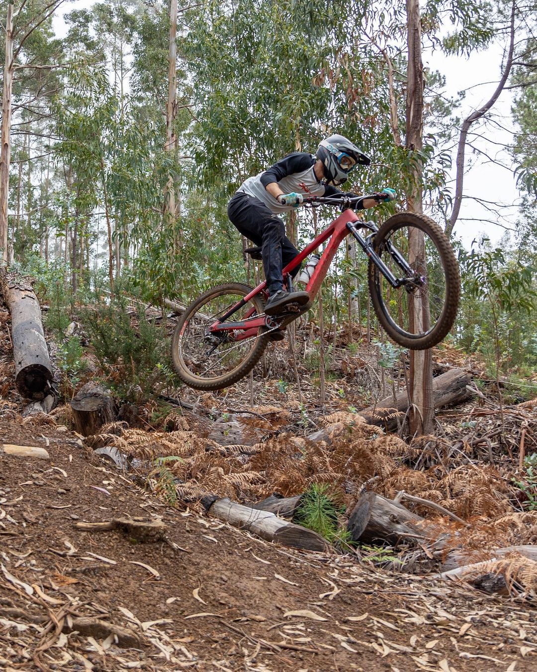 RST Stitch 29
